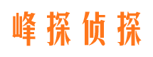 麻栗坡寻人公司